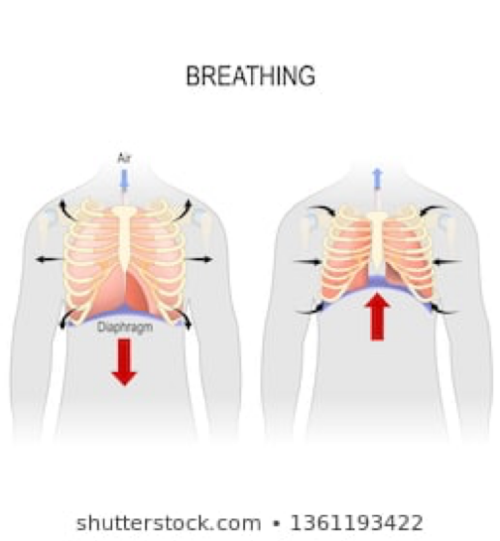 Breathing 