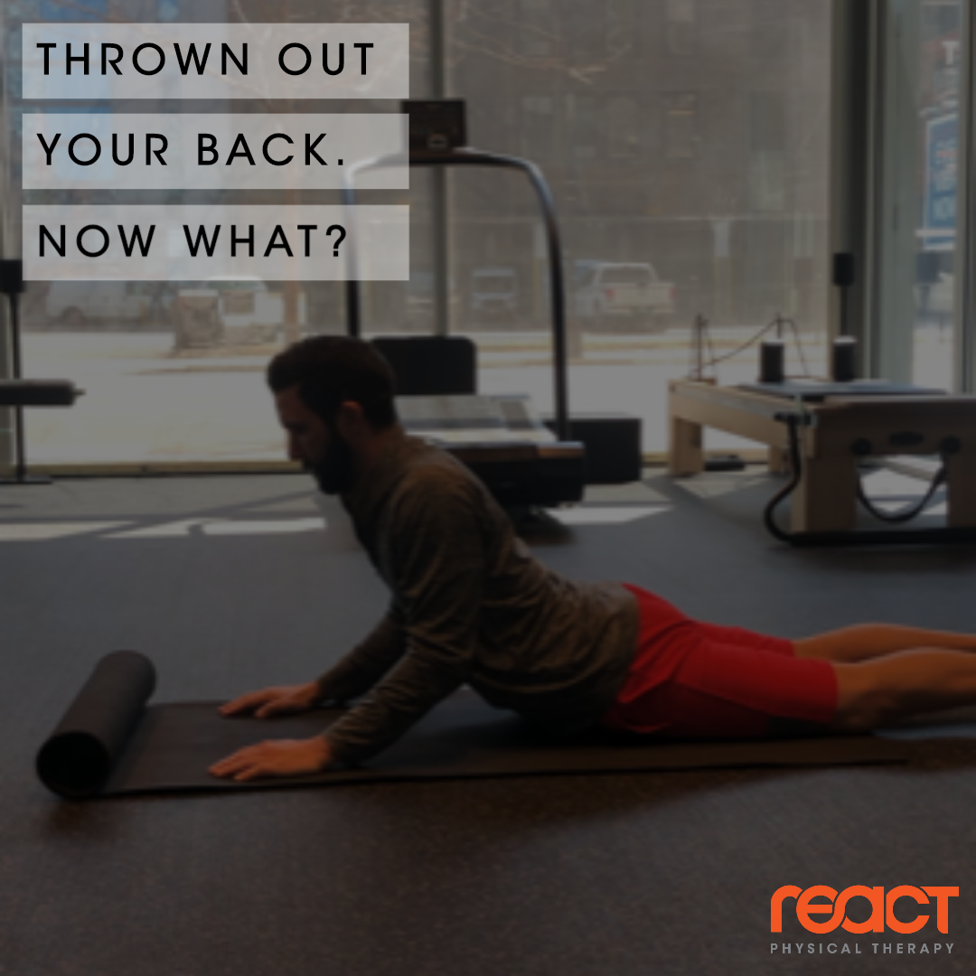 thrown-out-your-back-now-what-react-physical-therapy