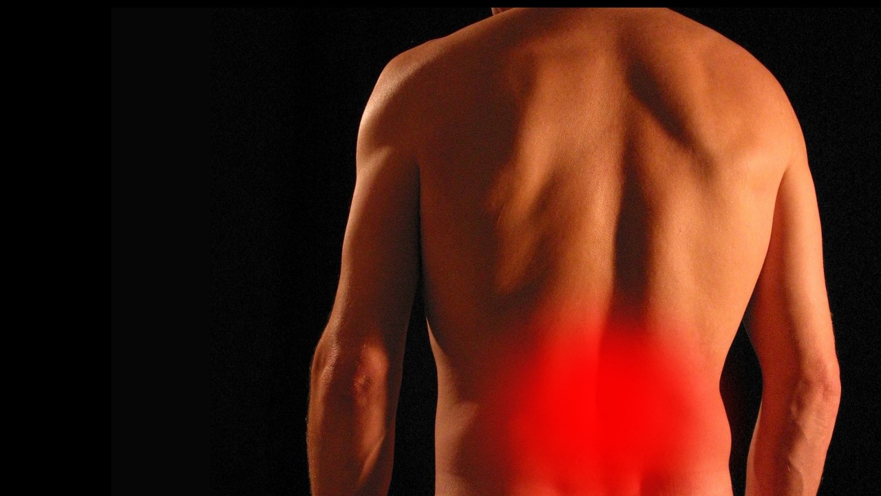 Low Back Pain (1)