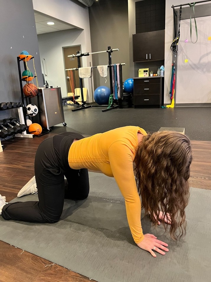 5 Minute Stretch Flow for a Tight Back